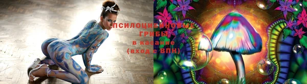 винт Наволоки